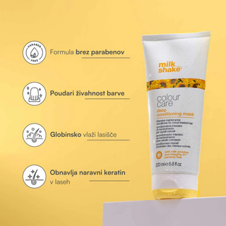 Colour Maintainer Mask - maska za barvane lase