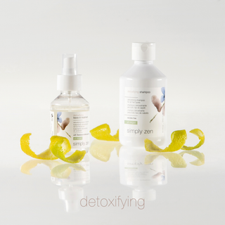 Detoxifying Leave-In Treatment - sprej za čiščenje suhega in občutljivega lasišča