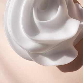 Whipped Cream Moisture Plus - Negovalna pena za suhe lase
